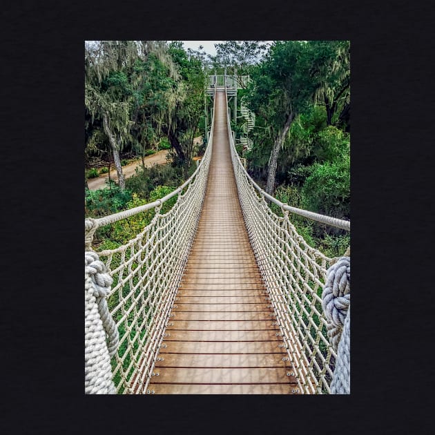 Canopy Trail at Santa Ana Wildlife Refuge by Debra Martz